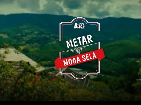 Metar moga sela